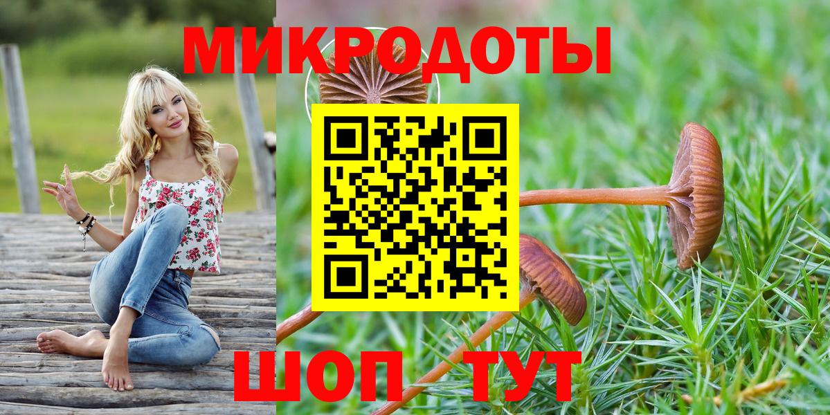 Галлюциногенные грибы прущие грибы  Вход с VPN  Чистополь  Галлюциногенные грибы Psilocybe 